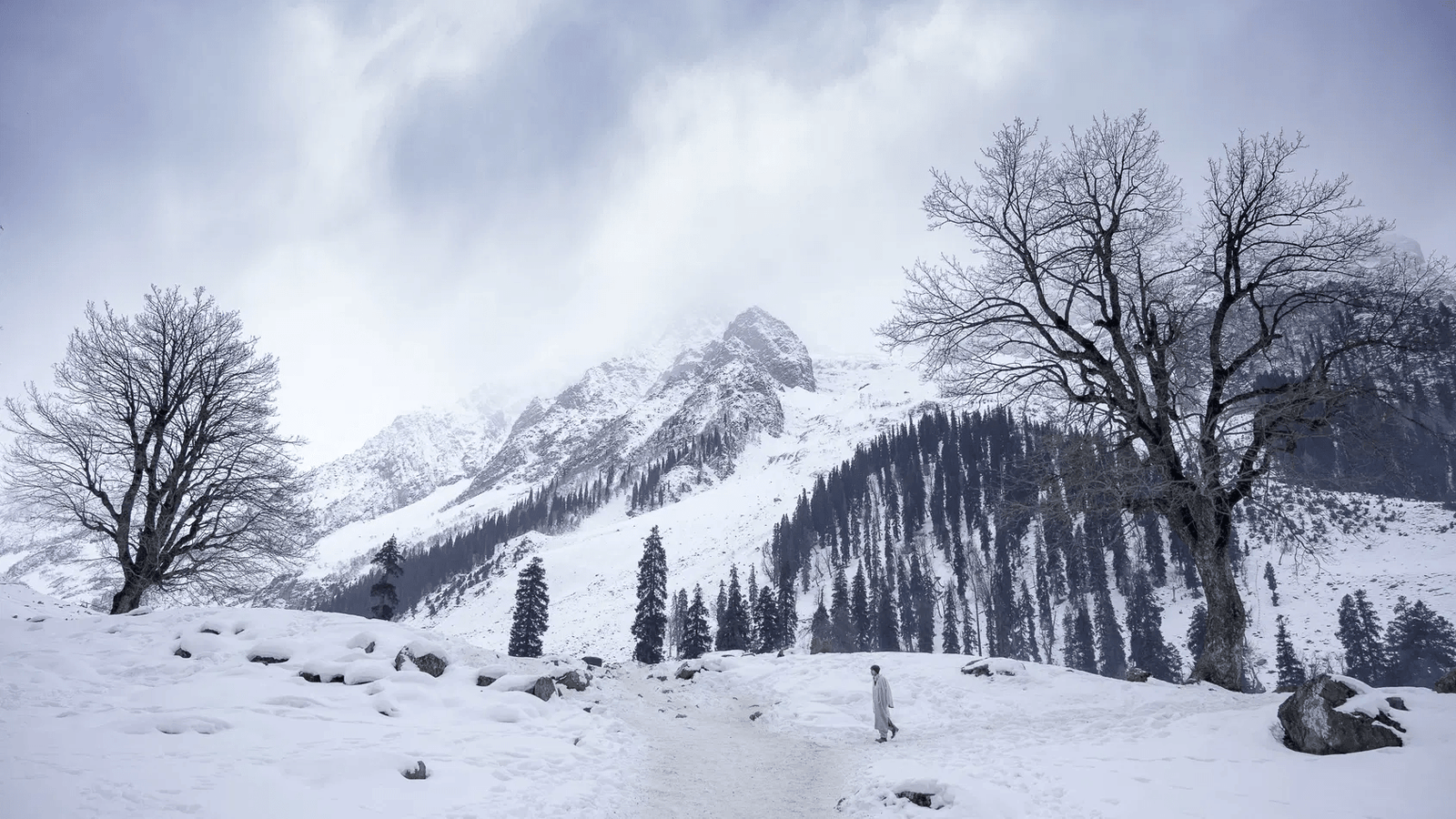 kashmir